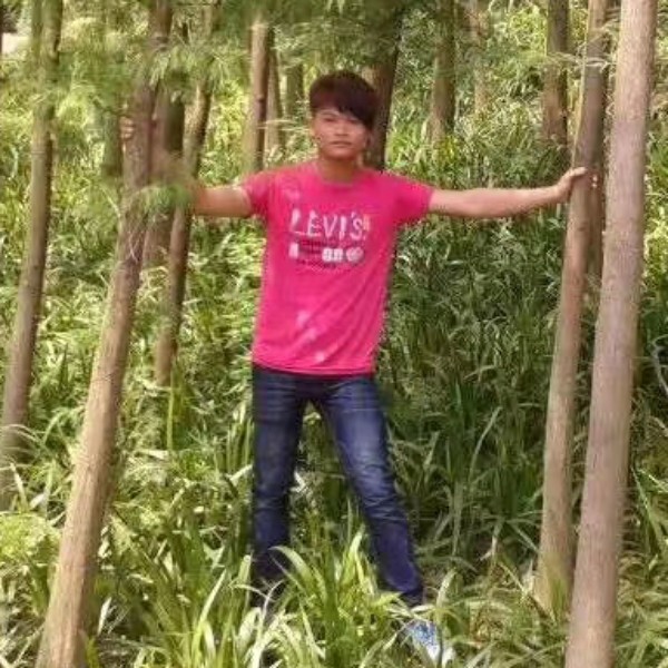 回忆、已成伤的照片