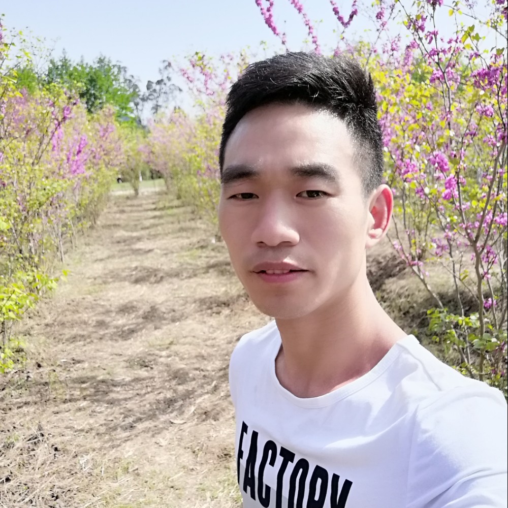 荔枝执着的照片