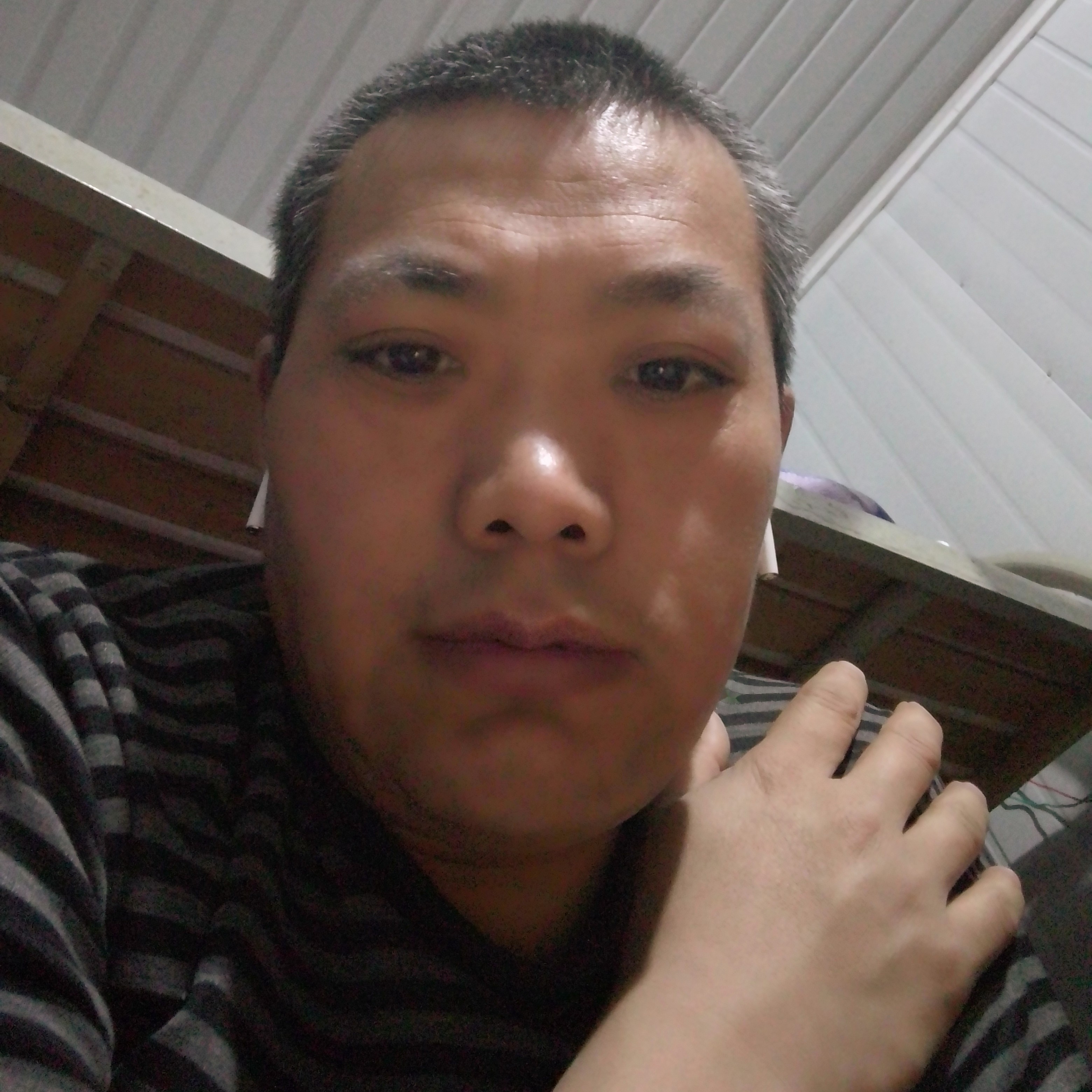 蓝莓愿多情的照片