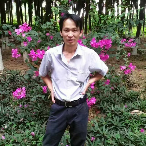 顺心与灰狼的照片