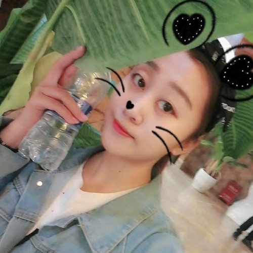 命 .的照片