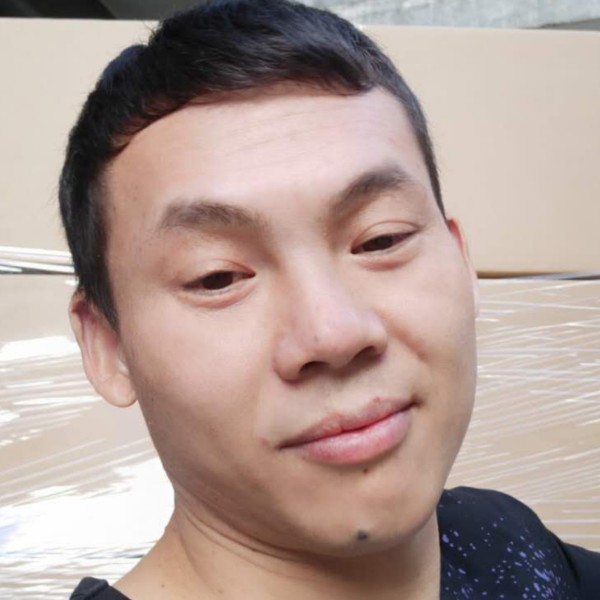 含羞草的阳光的照片