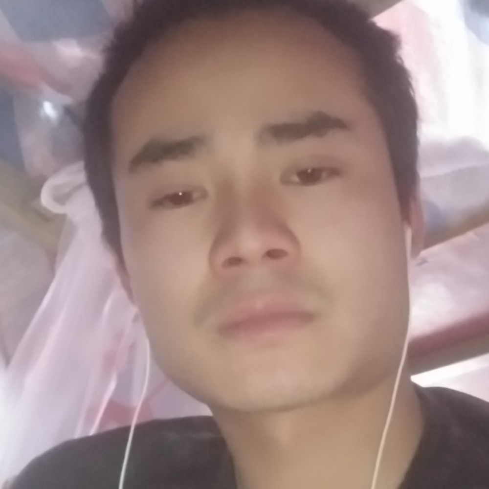 小蘑菇老实的照片