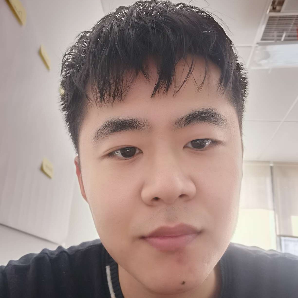 小小哈克的照片
