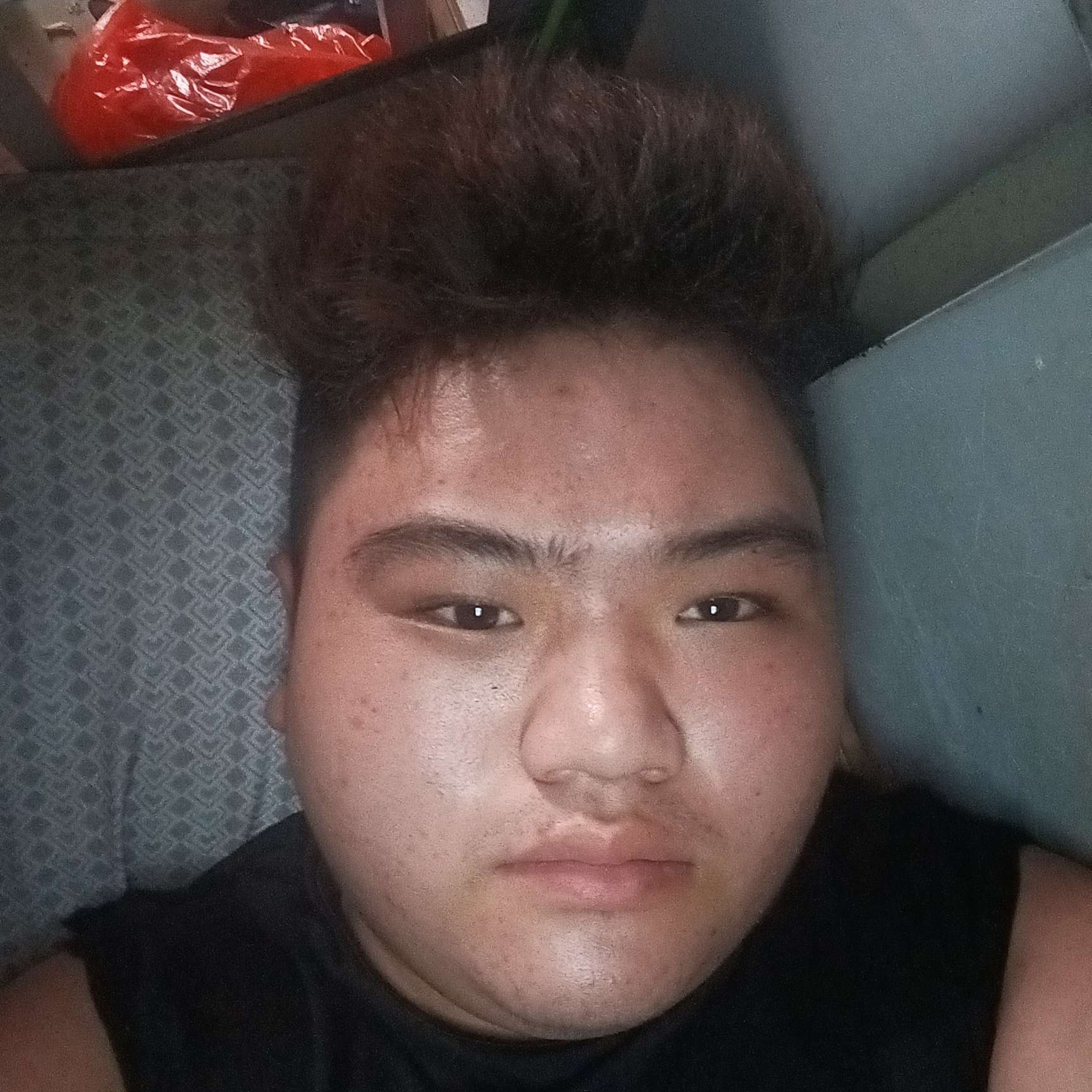 醉月初见的照片