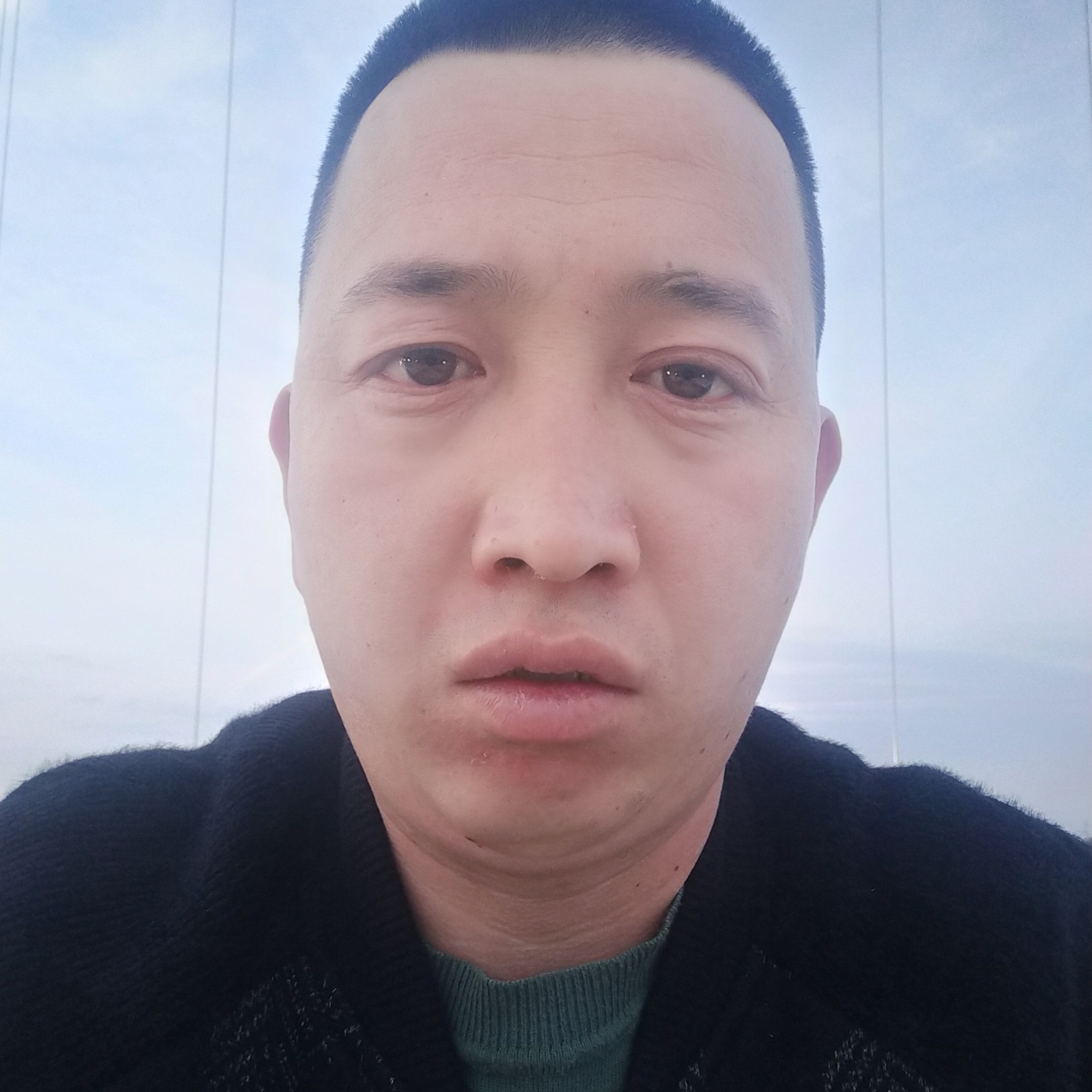 绿茶年轻的照片