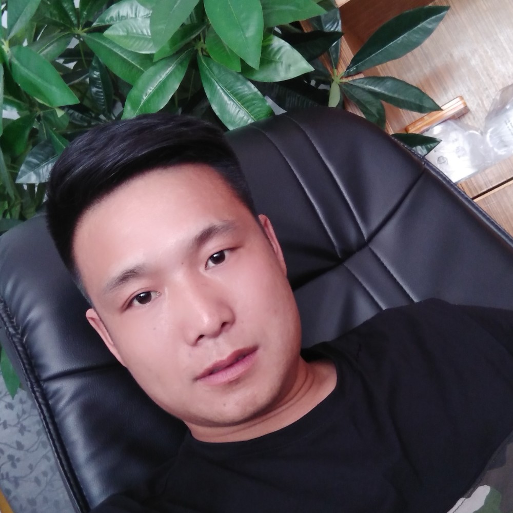 含羞草自由的照片