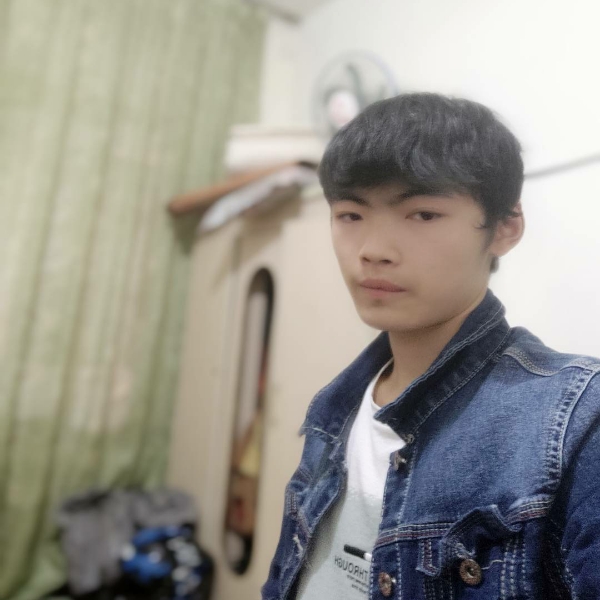 半夜鸣蝉的照片