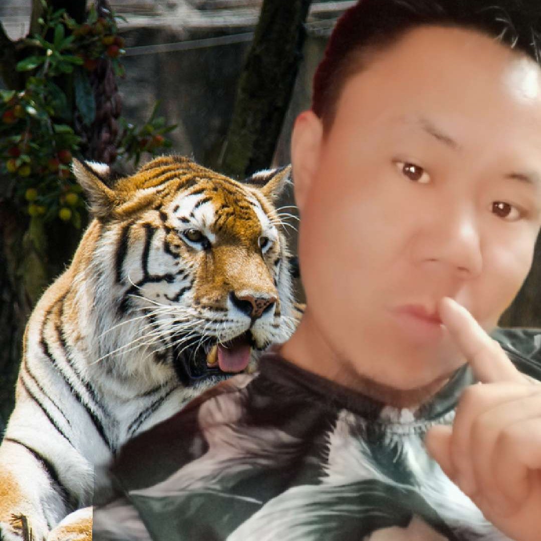 绝望的死心的照片