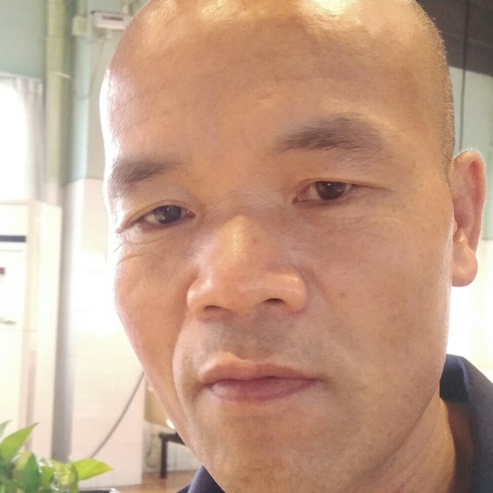 阳光鹰的照片