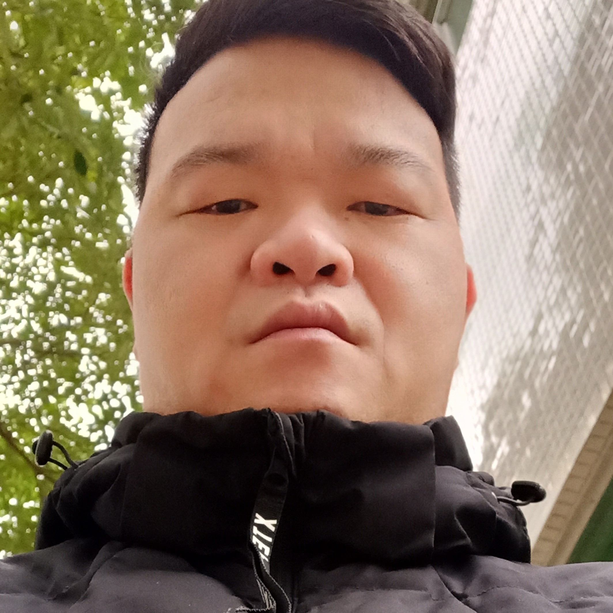 烂漫蹁跹旧颜的照片