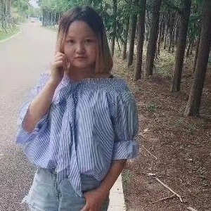 烂漫纸鹤的照片