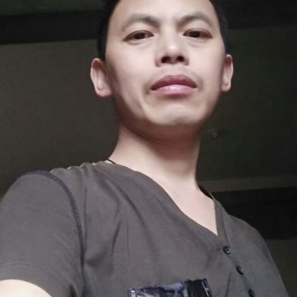 向阳青松的照片