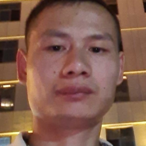 苗条就小蚂蚁的照片