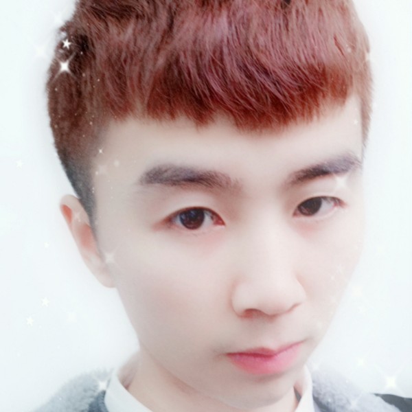 猪的照片