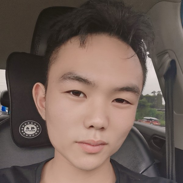 钢笔爱恋明媚的照片