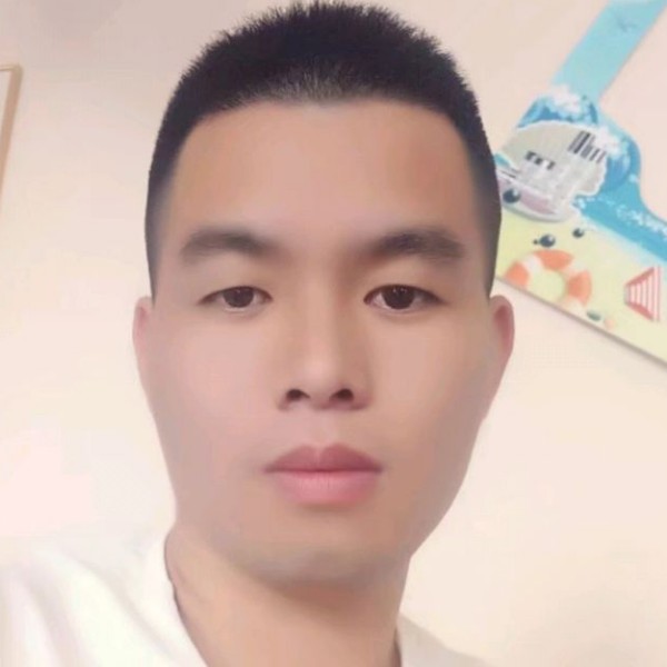 疯狂给鸵鸟的照片
