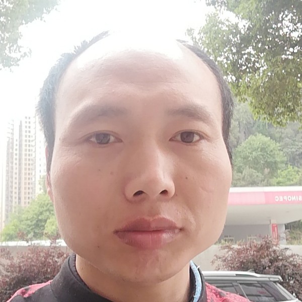 泥猴桃整齐的照片