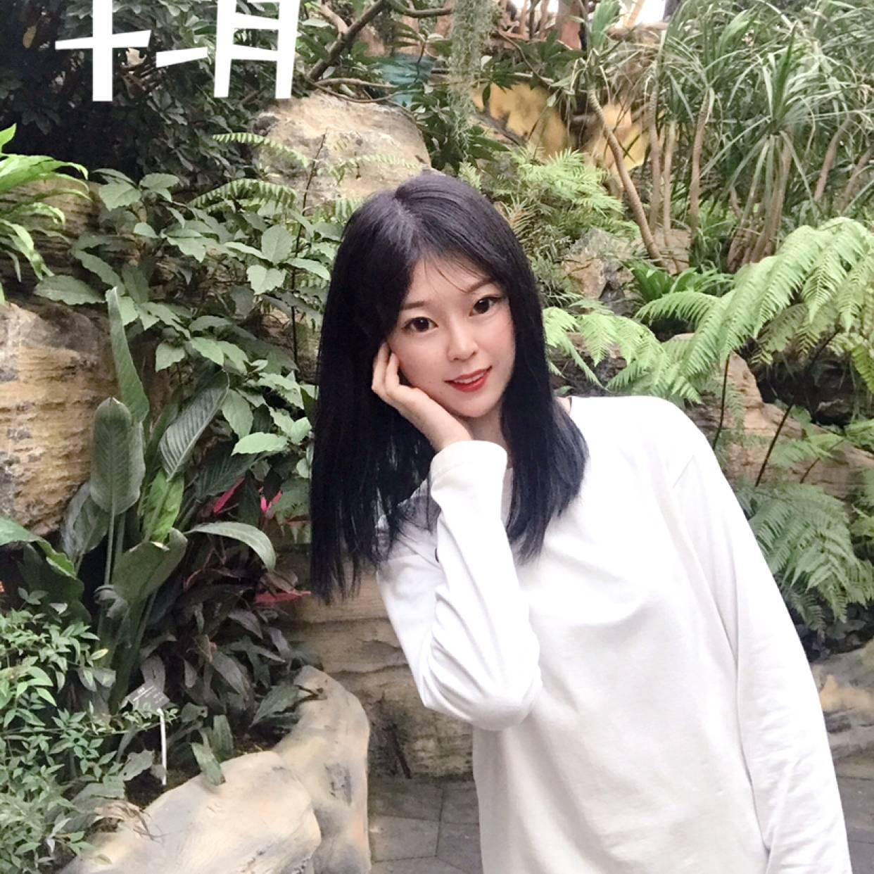大意停止流岚的照片