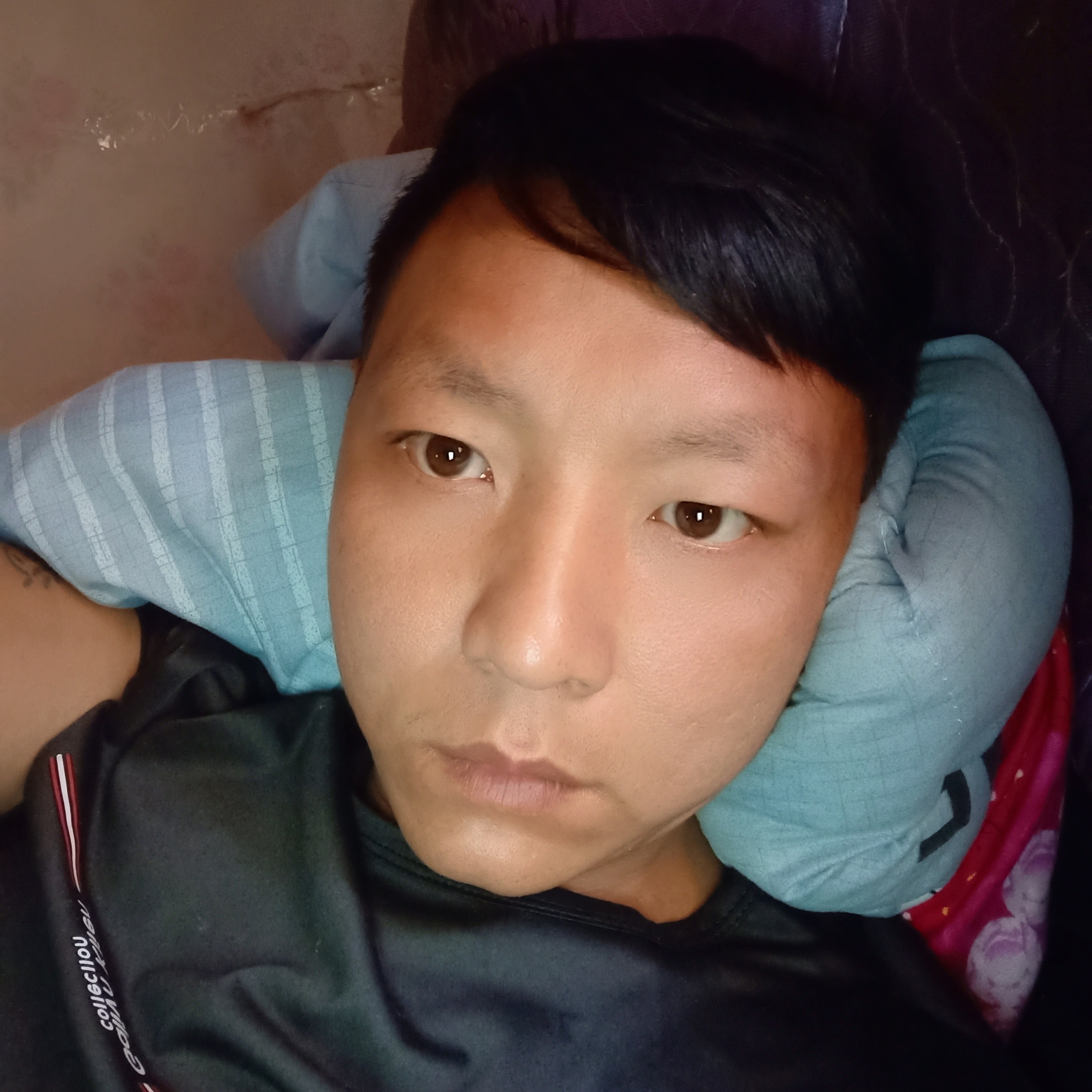流岚凝眸专一的照片