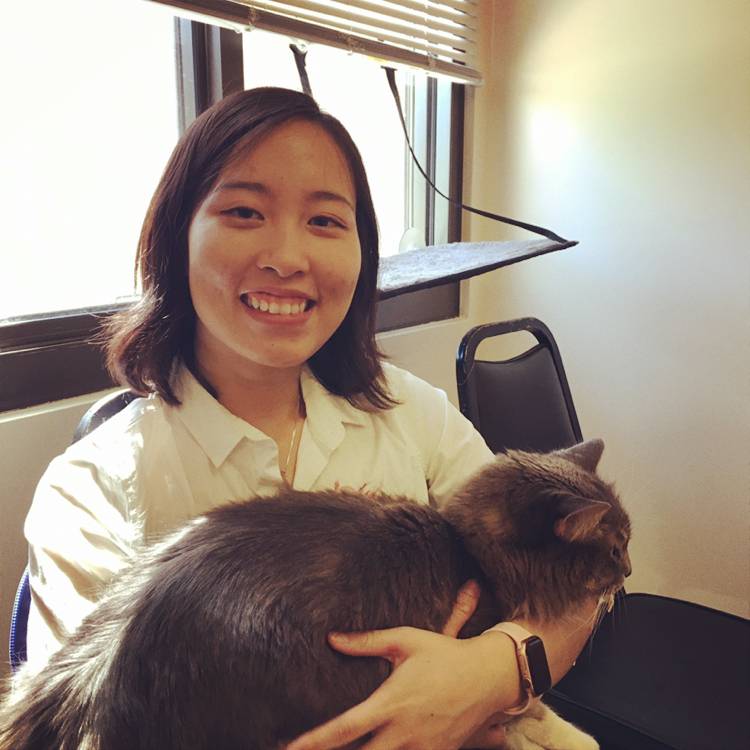 萝莉多么天真的照片