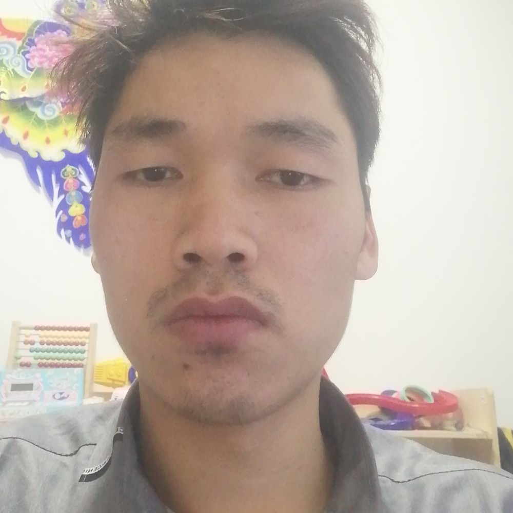 蜻蜓蹁跹开放的照片