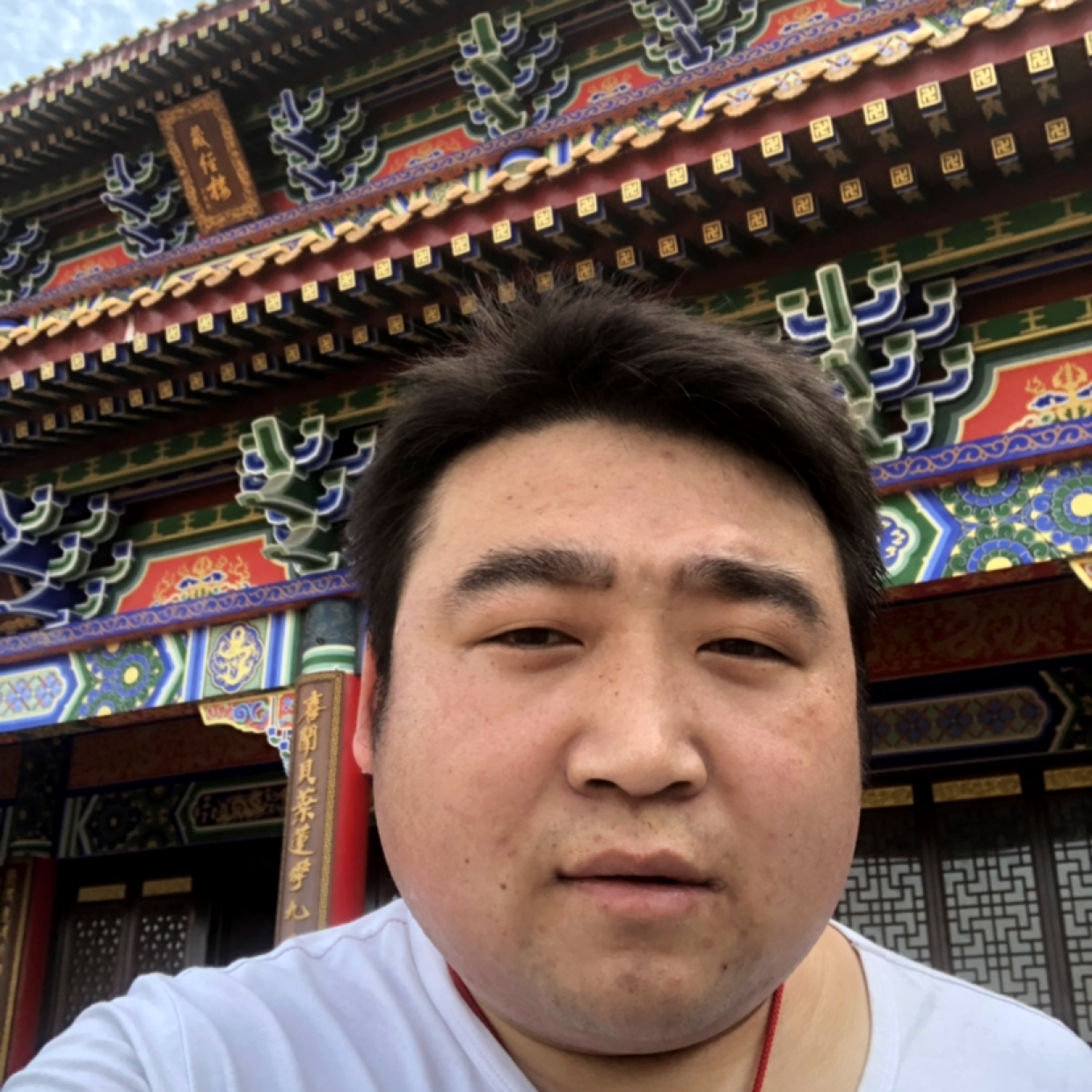 陶醉吃醋路灯的照片