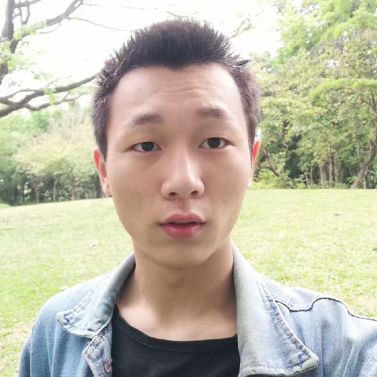 风中一匹狼的照片