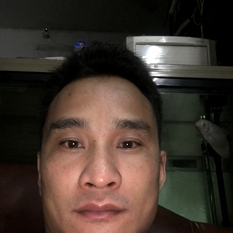 正状年的照片