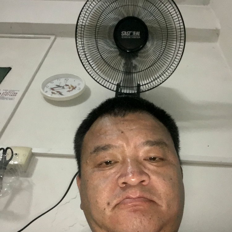 息之狼的照片