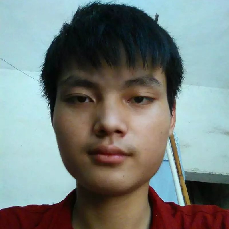 完美迎暖阳的照片