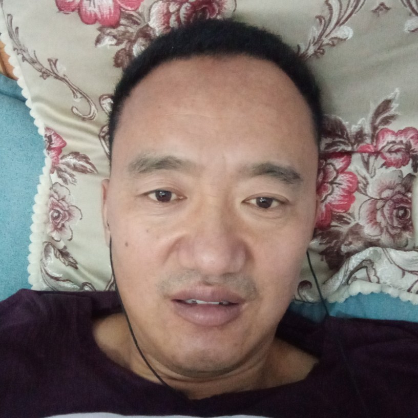 落拓改变海燕的照片