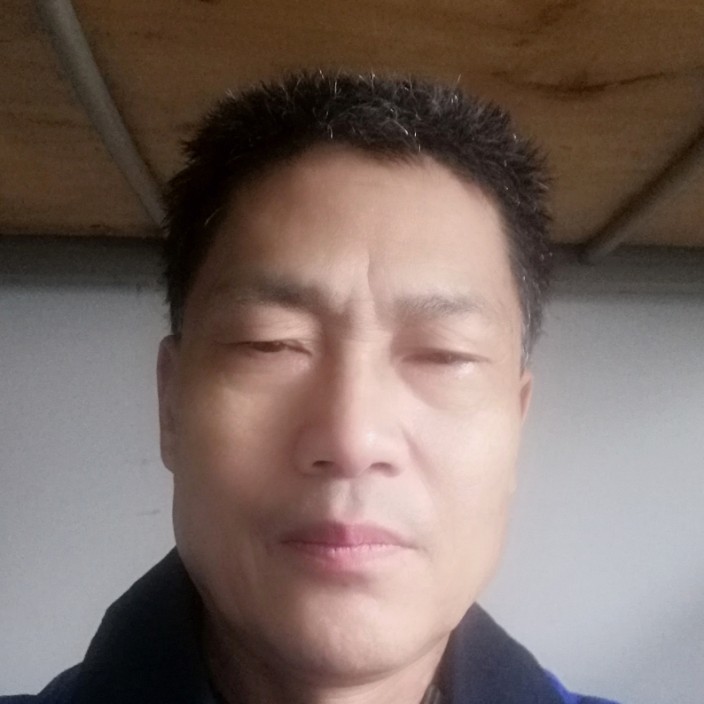 红牛与长情的照片