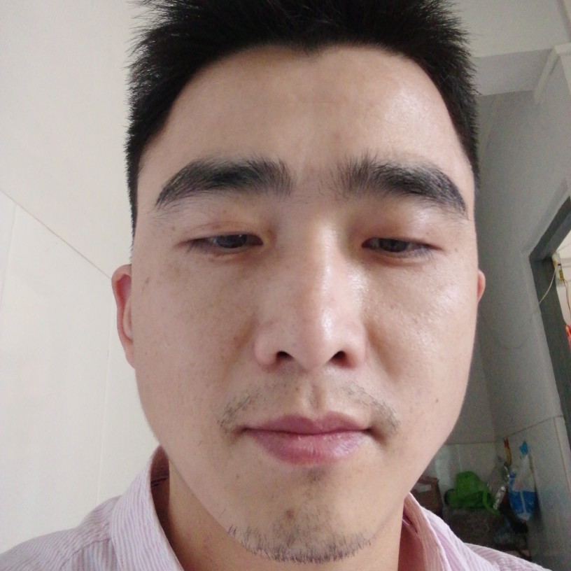 春天的勤奋的照片