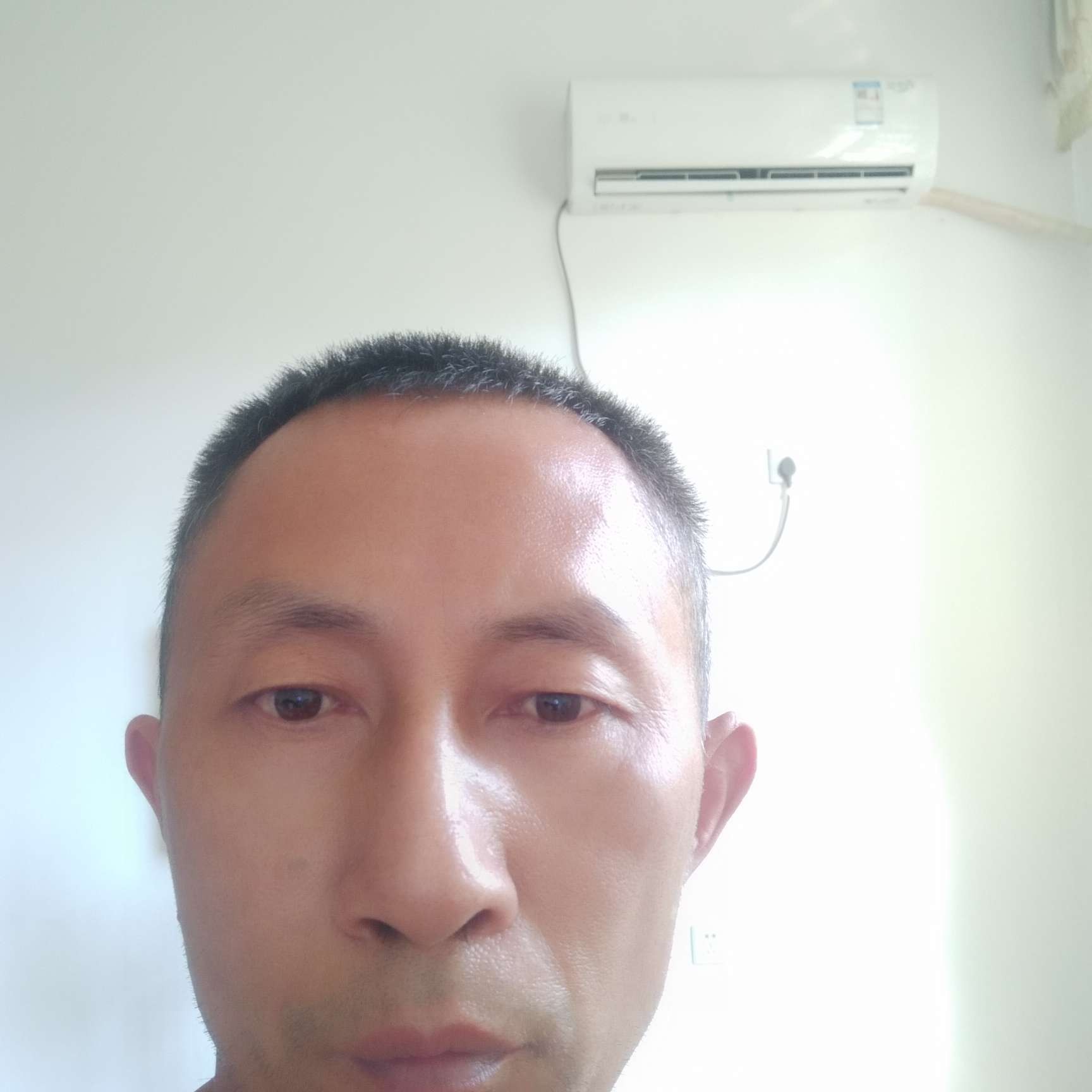 傲娇苦恋猎豹的照片