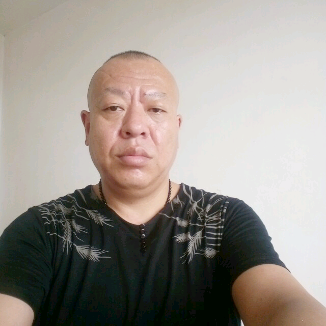烂漫乌龟的照片