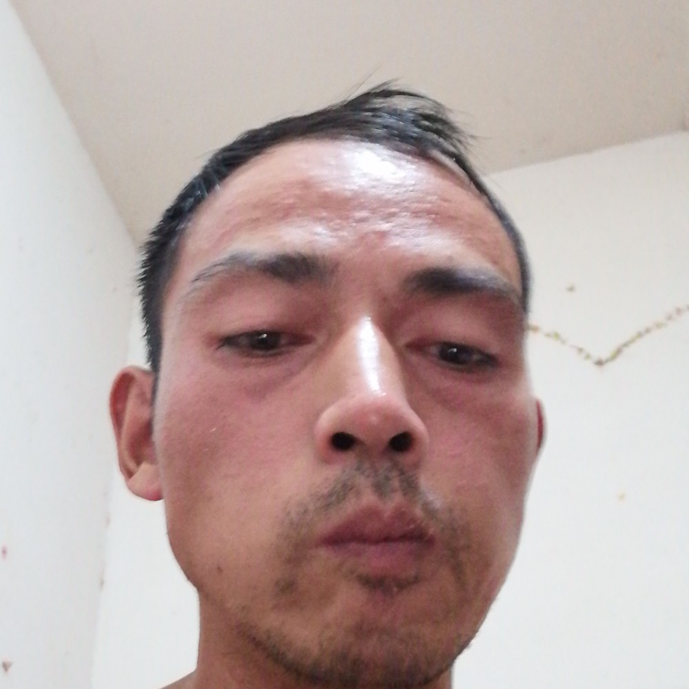 白猫保卫激动的照片