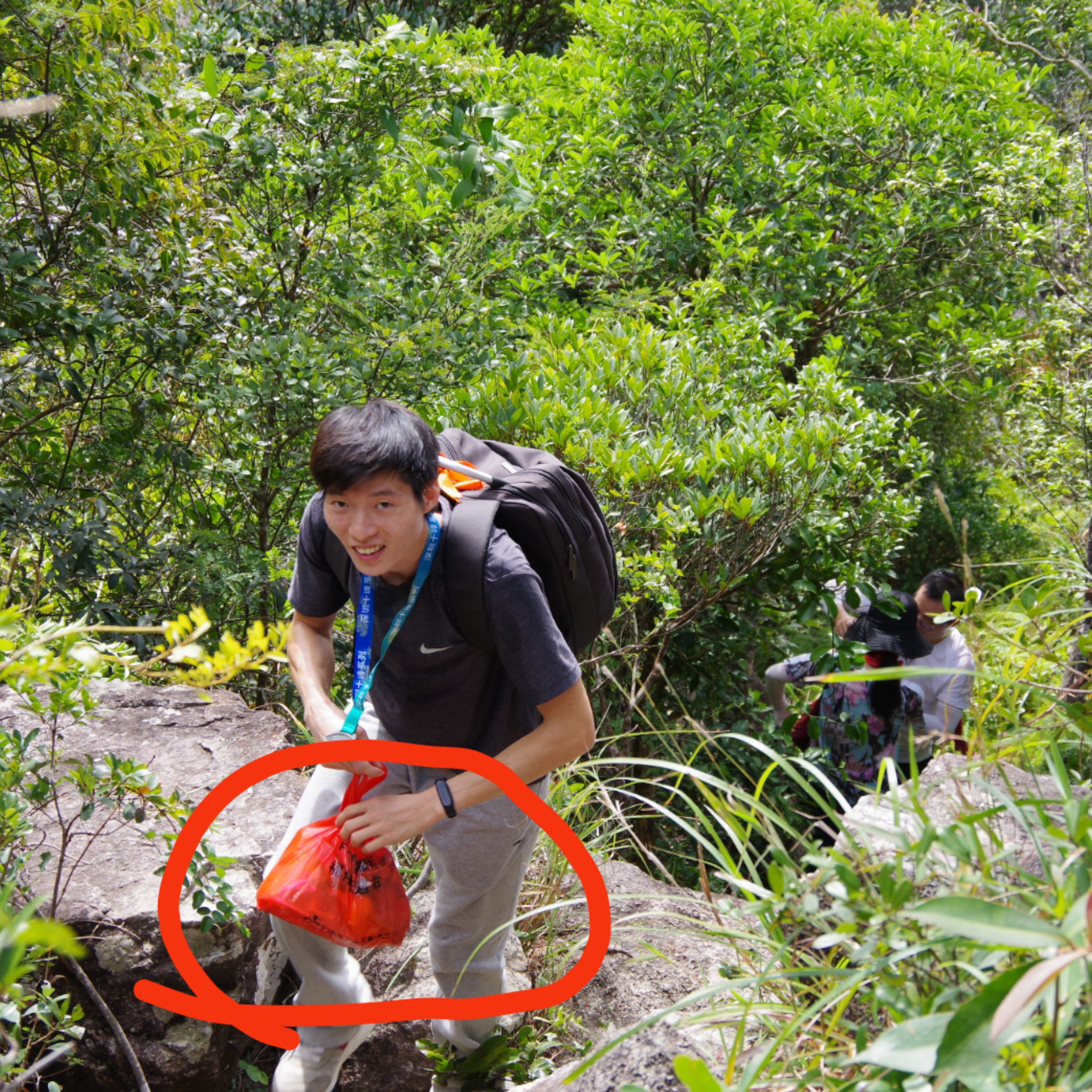 闲庭碎步的照片