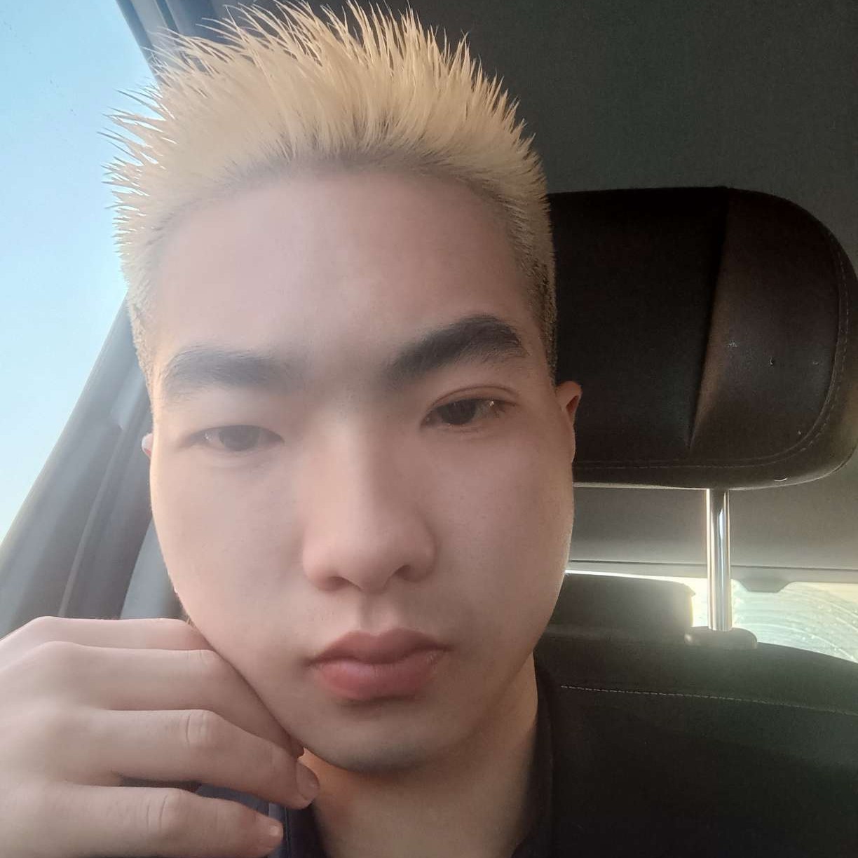 早晨的明理的照片