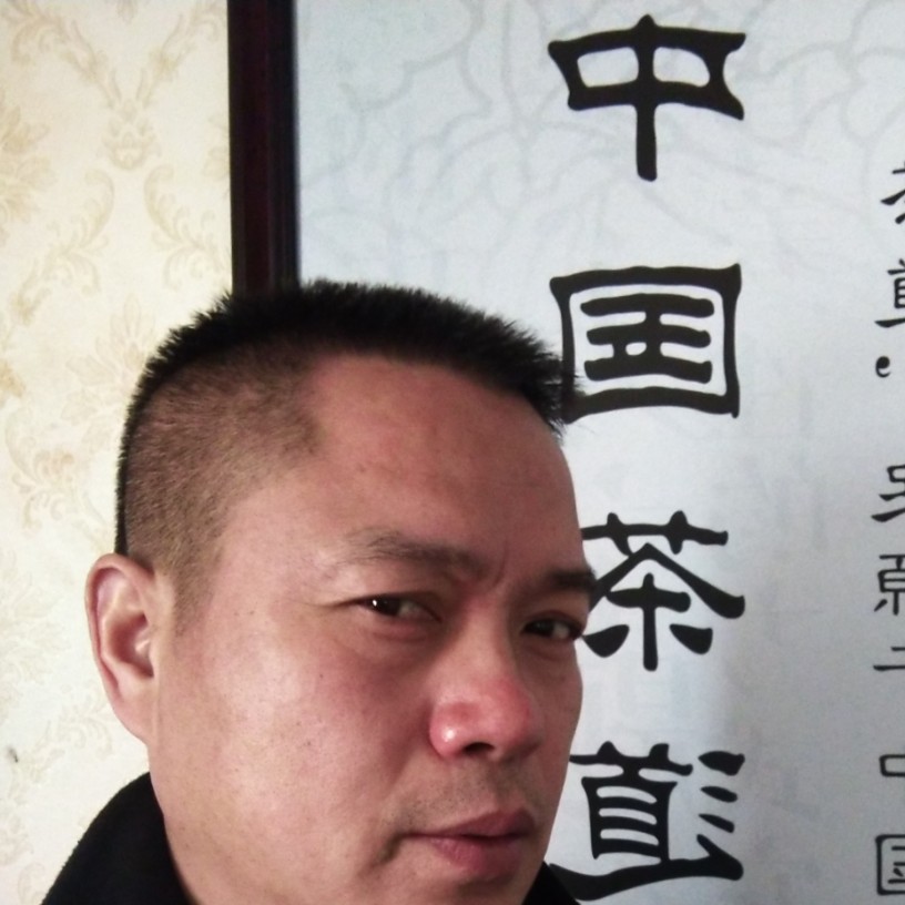 自游鸟的照片