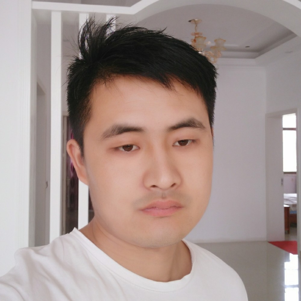 孤独小刺猬的照片