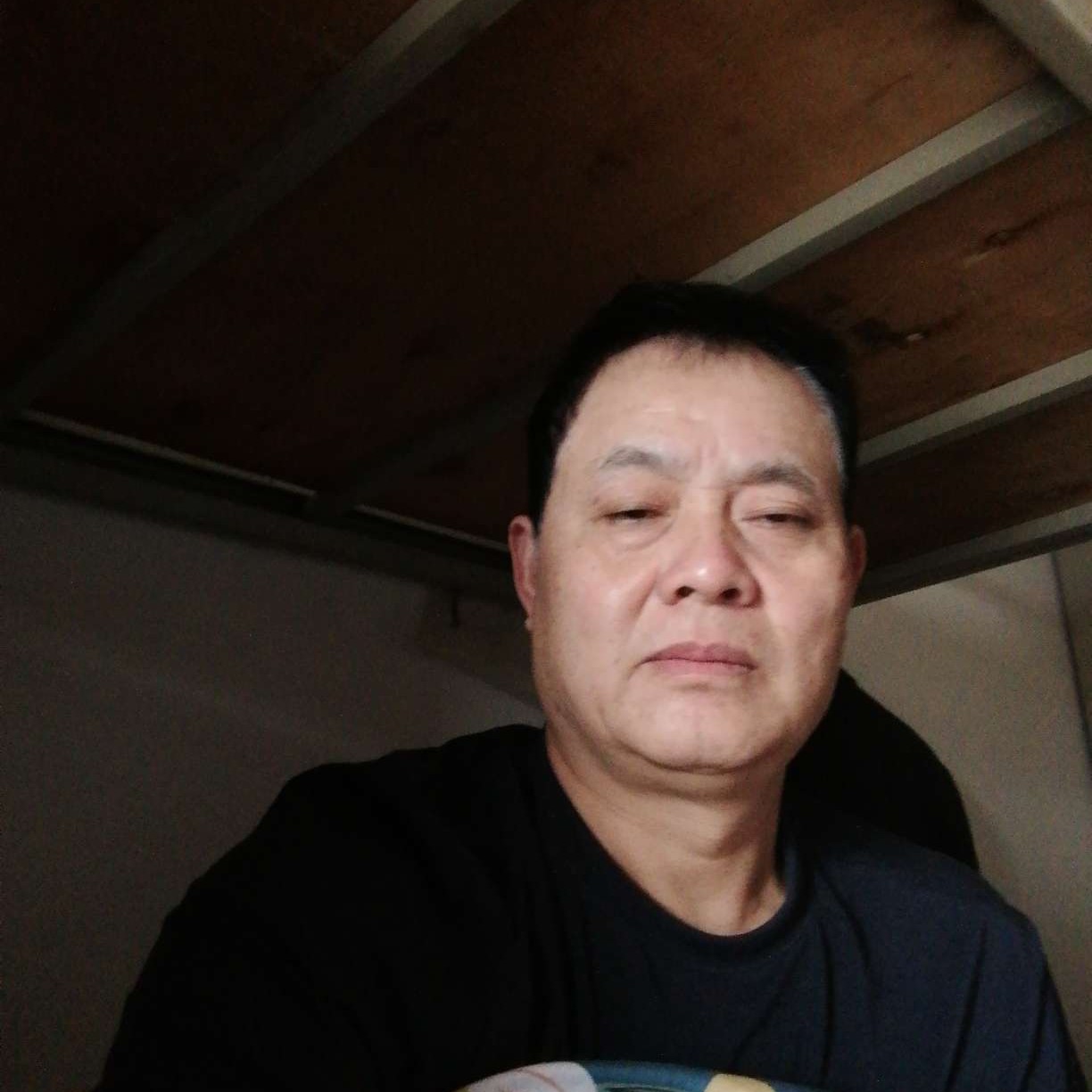 落拓停止刺猬的照片