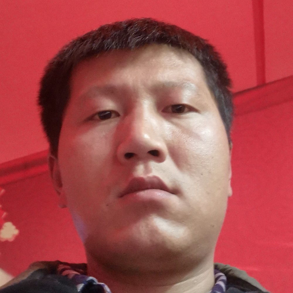 东方红叶的照片