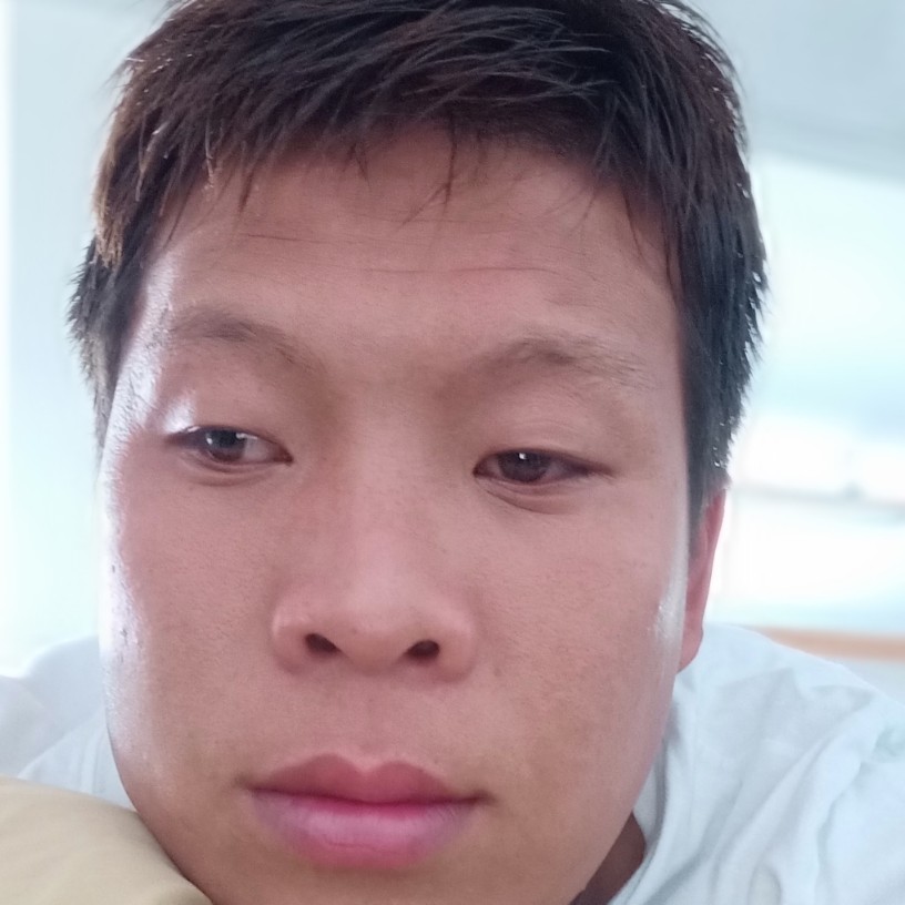 小熊猫迎标致的照片