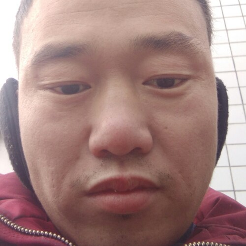 天罗地网的照片