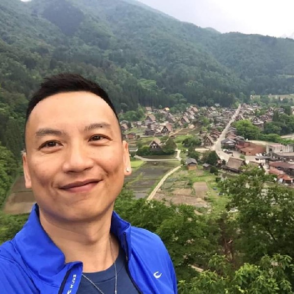 凤中的一匹狼的照片