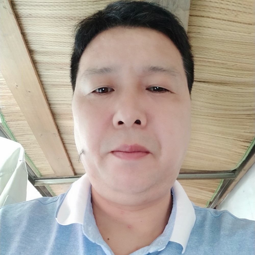 务实爱蝶舞的照片