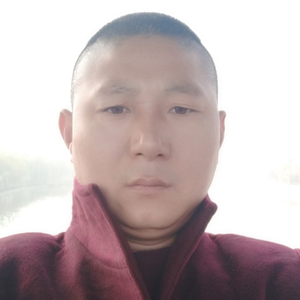 千里马的照片