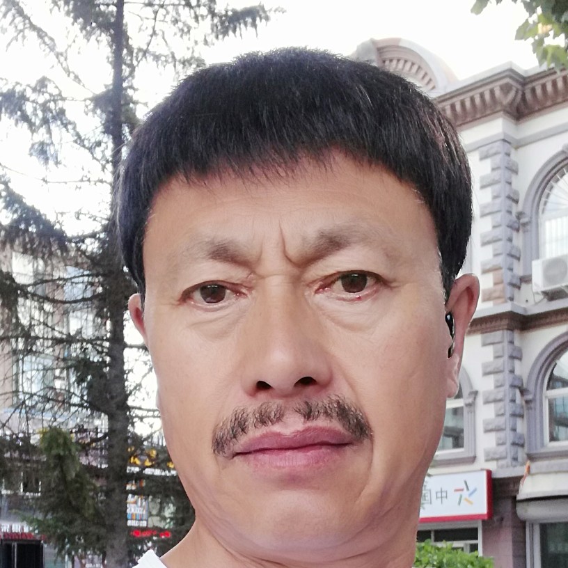 动人西牛的照片