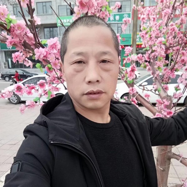 铃铛优美单身汉的照片